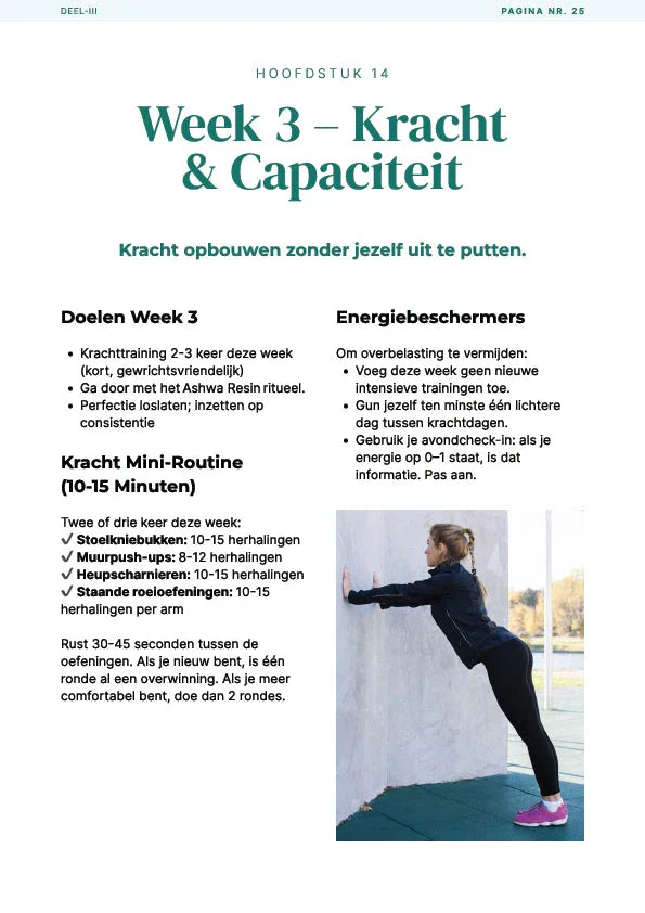 De eBook-gids om Diepe Vermoeidheid te Overwinnen