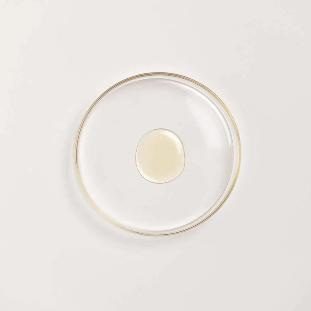 Ultieme Bestseller Bundel - Zwarte Gram Trio + Dag & Nacht Duo