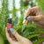 Mini Yauvari Youth Spring - Best Face Moisturiser for Dry Skin, Aging or Mature Skin