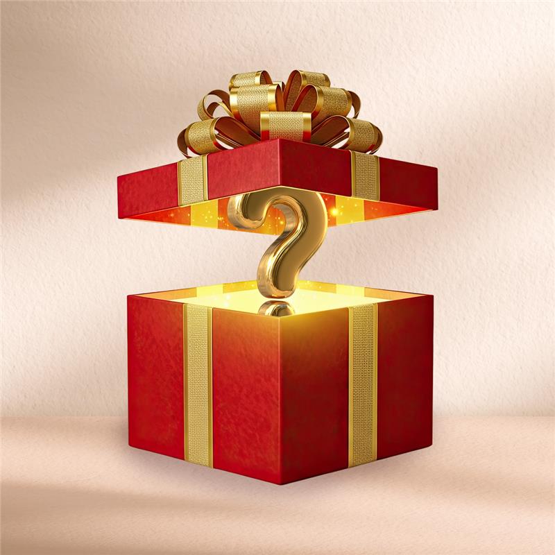 Exclusief Kerstcadeau – Mystery Gift 🎁