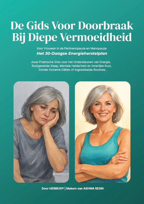 🎁 De eBook-gids om Diepe Vermoeidheid te Overwinnen (100% off)