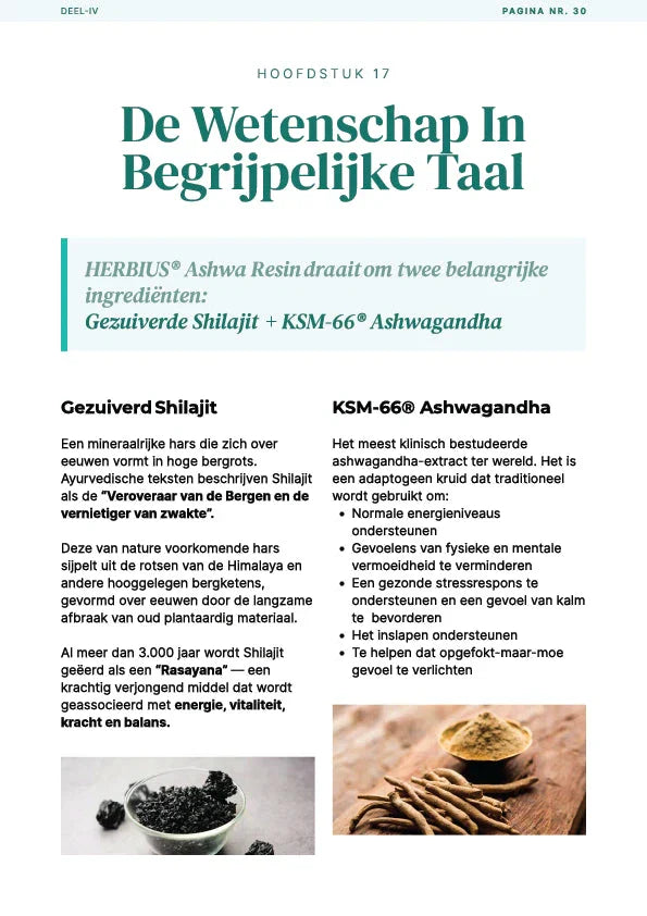 De eBook-gids om Diepe Vermoeidheid te Overwinnen