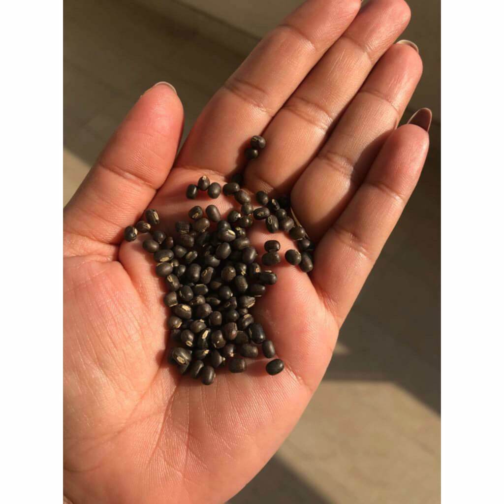 Balaayah Black Gram Booster Pack of 2 with Gift Box